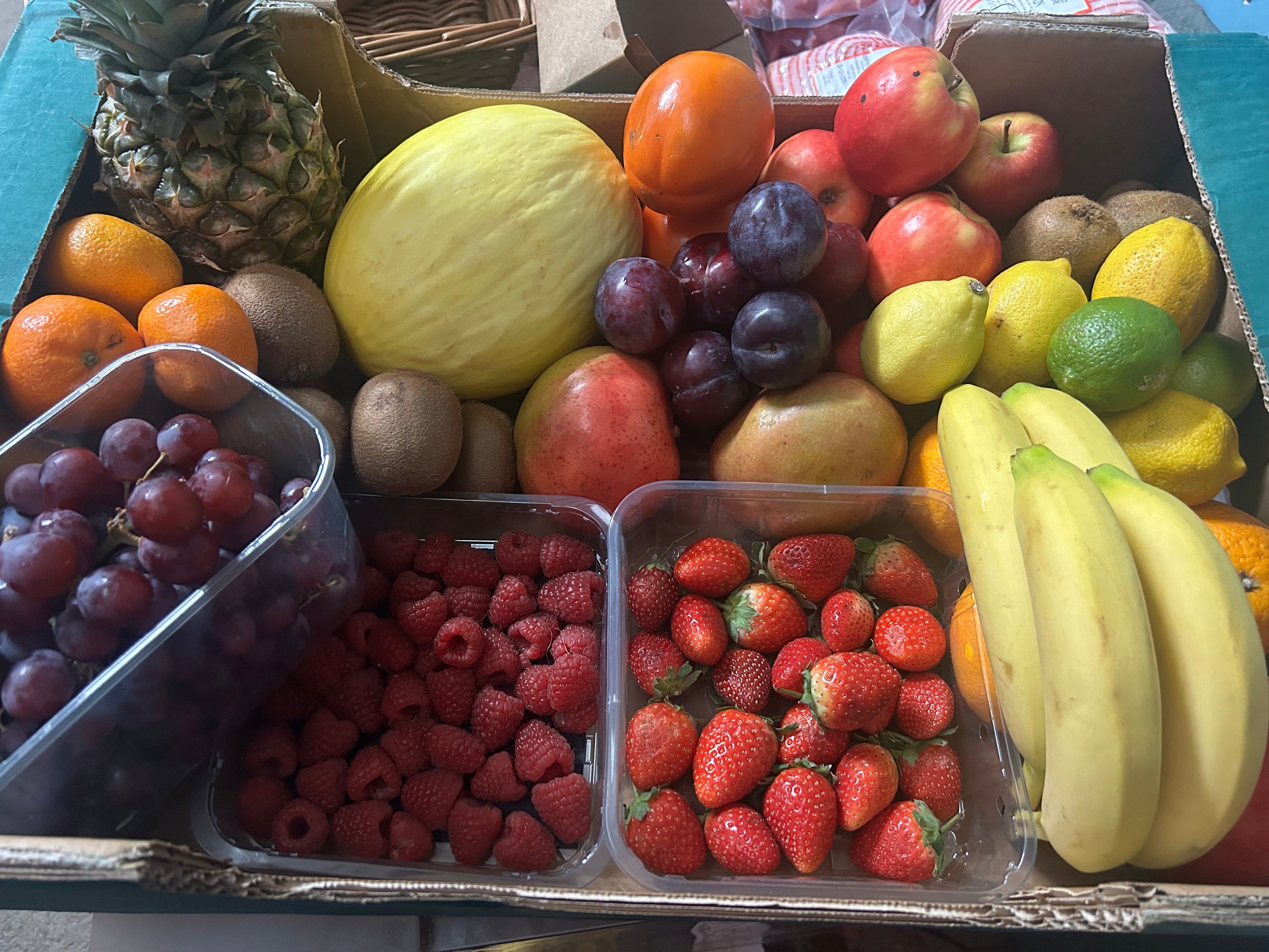 XL Fruit Box