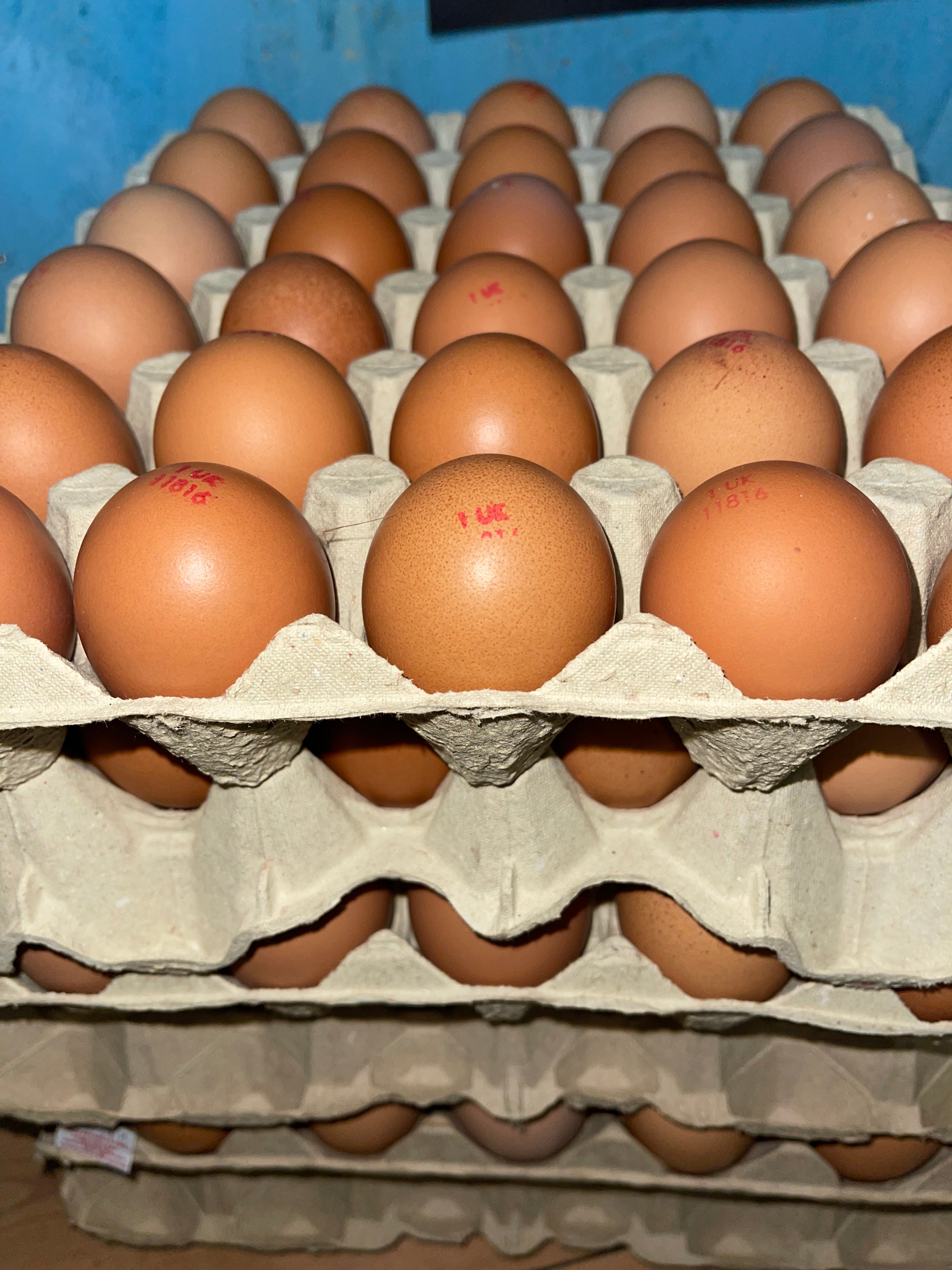 Tray Medium Hen Eggs