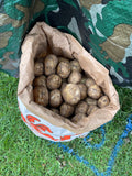 Sack of Pembrokeshire Potatoes