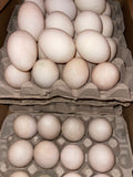 Half Dozen Duck Eggs