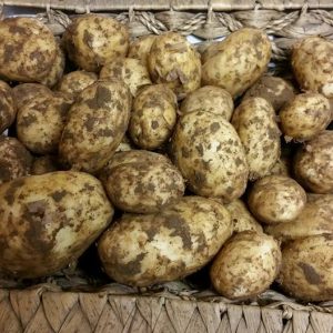 Pembrokeshire Salad Potatoes