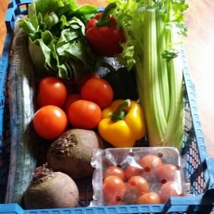 Salad Selection