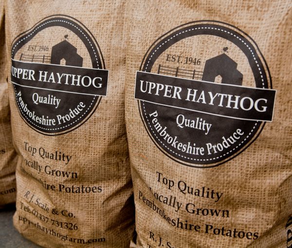 12.5kg Pembrokeshire Potatoes